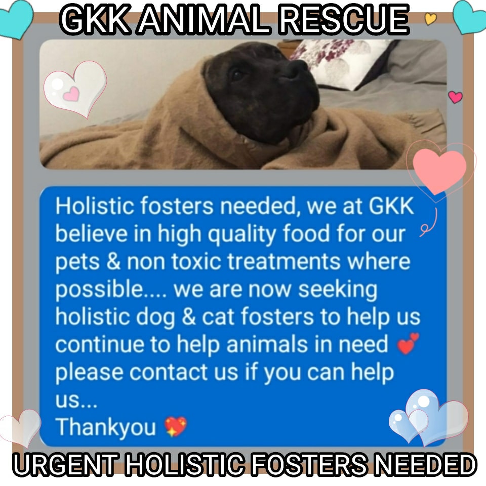 GKK Animal Rescue - Home